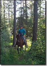 Paso Fino Trail Riding at Westwind Ranch